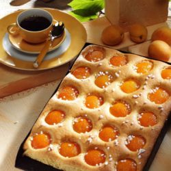 Aprikosenkuchen