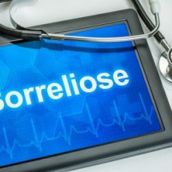 Tablet mit der Diagnose Borreliose auf dem Display, ein Stethoskop liegt auf dem Tisch